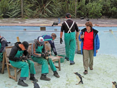 Environmental Advisor and former SANCCOB Centre Manager, Estelle van der Merwe, watches as volunteers feed the penguins. Photo by Tina Glass